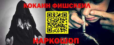 стаф Дубна