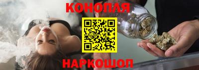 стаф Дубна
