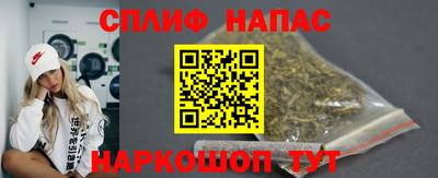 стаф Дубна