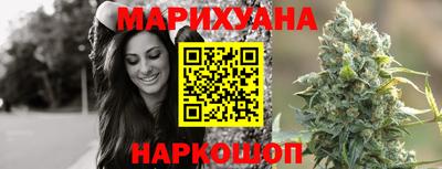 стаф Дубна