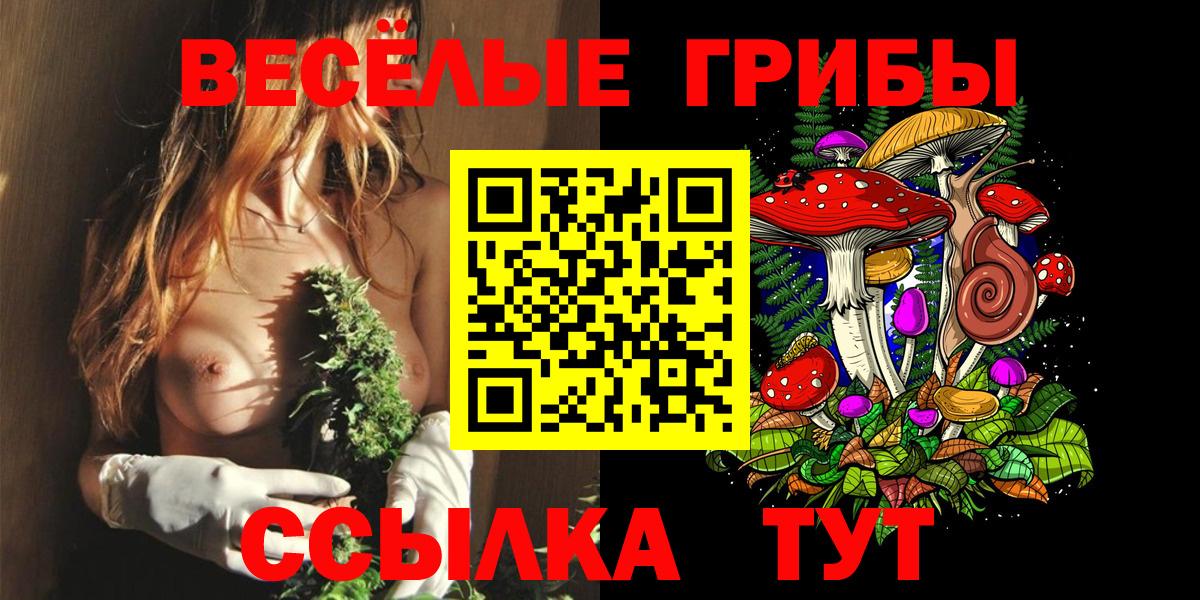 Псилоцибиновые грибы Psilocybe  Вход с VPN  Каменка 