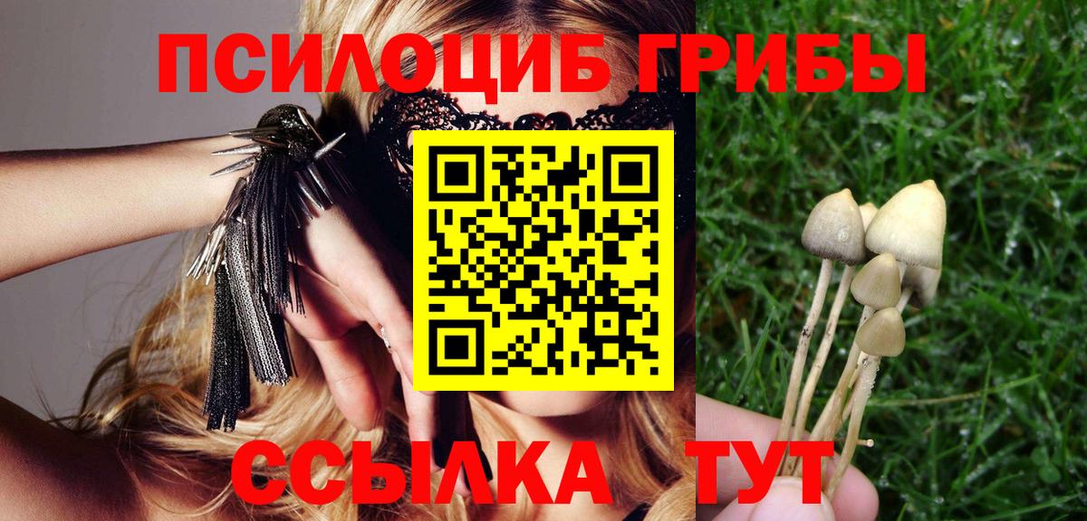 Галлюциногенные грибы Magic Shrooms Каменка
